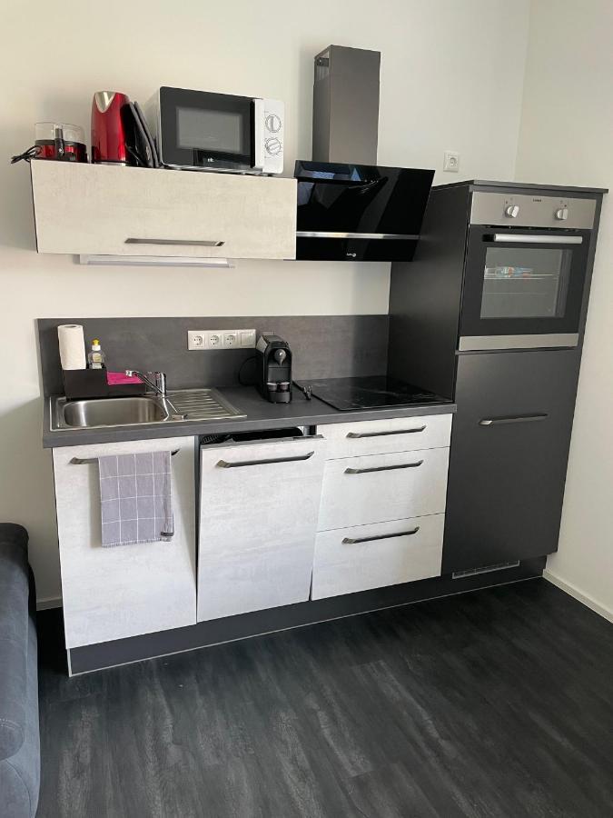 Apartments Saaldorf-Ferienhaus Mit 6 Apartments 45Qm-120Qm Direkt Am Thueringer Meer-Bleilochtalsperre Bad Lobenstein Exterior foto